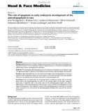 báo cáo khoa học: The role of apoptosis in early embryonic development of the adenohypophysis in rats