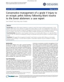 Báo cáo y học: Conservative management of a grade V injury to an ectopic pelvic kidney following blunt trauma to the lower abdomen: a case report