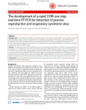 Báo cáo y học: The development of a rapid SYBR one step real-time RT-PCR for detection of porcine reproductive and respiratory syndrome virus