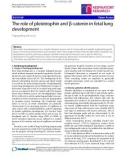 Báo cáo y học: The role of pleiotrophin and β-catenin in fetal lung development