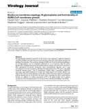 Báo cáo y học: Studies on membrane topology, N-glycosylation and functionality of SARS-CoV membrane prote