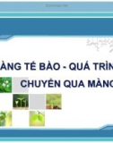 Bài thuyết trình: Màng tế bào - Quá trình vận chuyển qua màng