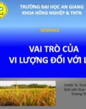 Tiểu luận: Vai trò của vi lượng đối với lúa