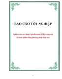 Luận văn: Nghiên cứu xác định Ciprofloxacin (CIP) trong một số dược phẩm bằng phương pháp điện hóa