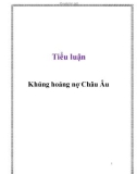 Tiểu luận: Khủng hoảng nợ Châu Âu