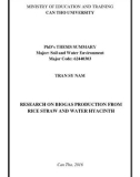 PhD's thesis summary: Research on biogas production from rice straw and water hyacinth