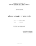 Luận văn Thạc sĩ Khoa học: Về các nguyên lý biến phân