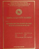 Khóa luận tốt nghiệp: Kinh nghiệm thành công của ngành công nghiệp hỗ trợ Thái Lan và bài họ kinh nghiệm cho Việt Nam