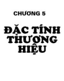 Bài giảng Quản trị thương hiệu - Chương 5: Đặc tính thương hiệu