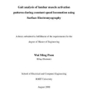 Master's thesis of Engineering: Gait analysis of lumbar muscle activation patterns during constant speed locomotion using surface electromyography