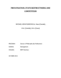 Doctoral thesis of Philosophy: Privatisation, state restructuring and competition