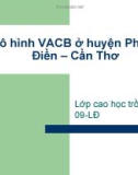 Báo cáo: Mô hình VACB ở huyện Phong Điền - Cần Thơ