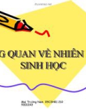 Báo cáo: Tổng quan về nhiên liệu sinh học