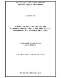 Tóm tắt luận án Tiến sĩ Kỹ thuật Hóa học: Nghiên cứu phản ứng oxy hóa sâu carbon monoxide và p-Xylene trên xúc tác pt + CuO với các chất mang khác nhau