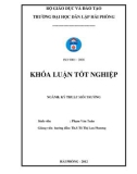 Đồ án tốt nghiệp ngành Kỹ thuật môi trường: Nghiên cứu xử lý nước thải sản xuất bún sau giai đoan Aeroten bằng phương pháp lọc và sử dụng thực vật