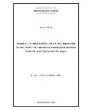 Luận văn Thạc sĩ Hoá học: Nghiên cứu điều chế sét hữu cơ từ bentonit Ấn Độ với butyltriphenylphotphoni bromua và bước đầu thăm dò ứng dụng