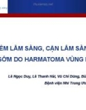 Bài giảng Đặc điểm lâm sàng, cận lâm sàng của dậy thì sớm do harmatoma vùng dưới đồi