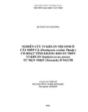 Luận án Tiến sĩ Công nghệ sinh học: Phân lập vi khuẩn nội sinh ở cây Diếp cá (Houttuynia cordata Thunb.) có hoạt tính kháng khuẩn trên vi khuẩn Staphylococcus aureus từ mụn nhọt (Furuncle) ở người