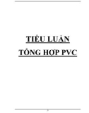 Tiểu luận: Tổng hợp PVC