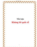 Tiểu luận: Khủng bố quốc tế