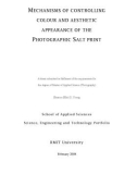 Master's thesis of Applied Science (Photography): Mechanisms of controlling colour and aesthetic appearance of the photographic salt print