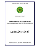 Luận án tiến sĩ: Nghiên cứu bệnh do phytoplasma hại sắn (Manihot esculenta Crantz) tại một số tỉnh Đông Nam Bộ