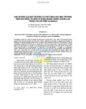 Ảnh hưởng của môi trường và chất điều hoà sinh trưởng đến khả năng tái sinh và nhân nhanh giống Hoàng lan thuộc chi lan Kiếm Cymbidium