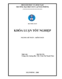 Khóa luận tốt nghiệp Kế toán - Kiểm toán: Hoàn thiện công tác kế toán doanh thu, chi phí và xác định kết quả kinh doanh tại Công ty Cổ phần vận tải taxi Cát Bi