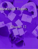 Lecture Business and industrial communication - Chapter 12: Organizational teams