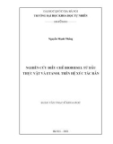 Luận văn Thạc sĩ Khoa học: Nghiên cứu điều chế Biodiesel từ dầu thực vật và etanol trên hệ xúc tác rắn