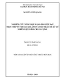 Tóm tắt Luận án Tiến sĩ Kỹ thuật hóa học: Nghiên cứu tổng hợp Nano-NaX trực tiếp từ metacaolanh và tro trấu để xử lý nhiên liệu kém chất lượng