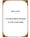 TIỂU LUẬN: Các công cụ kinh tế trong quản lý và bảo vệ môi trường