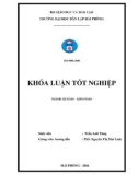 Khóa luận tốt nghiệp Kế toán - Kiểm toán: Hoàn thiện công tác tổ chức kế toán hàng hóa tại Công ty TNHH máy tính Tân An Thịnh Việt Nam