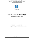 Khóa luận tốt nghiệp Kế toán - Kiểm toán: Hoàn thiện công tác kế toán doanh thu, chi phí và xác định kết quả kinh doanh tại Công ty Cổ phần đầu tư Lê Bảo Minh