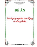 Luận văn: Sử dụng nguồn lao động ở nông thôn