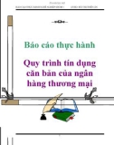 Báo cáo thực hành: Quy trình tín dụng căn bản của ngân hàng thương mại