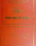 Khóa luận tốt nghiệp: Thực trạng và triển vọng phát triển của dịch vụ EMS của tổng công ty Bưu chính - Viễn thông Việt Nam