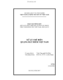 Báo cáo tổng kết kết quả thực hiện đề tài hợp tác khoa học công nghệ theo nghị định thư Việt Nam – Hàn Quốc: Xử lý chế biến quặng đất hiếm Việt Nam