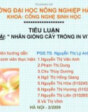 Tiểu luận: Nhân giống cây trồng in vitro