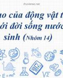 Bài thuyết trình nhóm: Cấu tạo của động vật thích nghi với đời sống nước thứ sinh