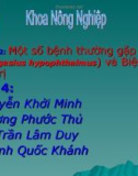 Chuyên đề 2: Một số bệnh thường gặp trên cá tra (Pangasius hypophthalmus) và biện pháp phòng trị