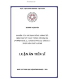 Luận án Tiến sĩ: Nghiên cứu xác định giống và một số biện pháp kỹ thuật trồng cây bìm bìm (Pharbitits nil (L.) Choisy) phục vụ sản xuất dược liệu chất lượng