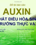 Báo cáo - Auxin chất điều học sinh trưởng thực vật