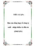 TIỂU LUẬN: Báo cáo tổng hợp về công ty xuất nhập khẩu và đầu tư (IMEXIN)