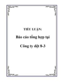 TIỂU LUẬN: Báo cáo tổng hợp tại Công ty dệt 8-3