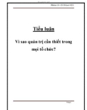 Tiểu luận: Vì sao quản trị cần thiết trong mọi tổ chức?