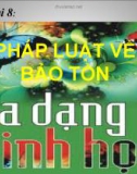 Đề Tài 8: PHÁP LUẬT VỀ BẢO TỒN ĐA DẠNG SINH HỌC