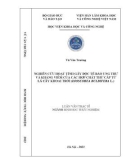 Luận văn Thạc sĩ Sinh học: Nghiên cứu hoạt tính gây độc tế bào ung thư và kháng viêm của các hợp chất thứ cấp từ lá cây khoai trời (Dioscorea bulbifera L.)