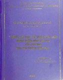 Luận văn: Những giải pháp đẩy mạnh phát triển hoạt động kinh tế đối ngoại với các nước Đông Dương