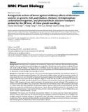 báo cáo khoa học: Antagonistic actions of boron against inhibitory effects of aluminum toxicity on growth, CO2 assimilation, ribulose-1,5-bisphosphate carboxylase/oxygenase, and photosynthetic electron transport probed by the JIP-test, of Citrus grandis seedlings